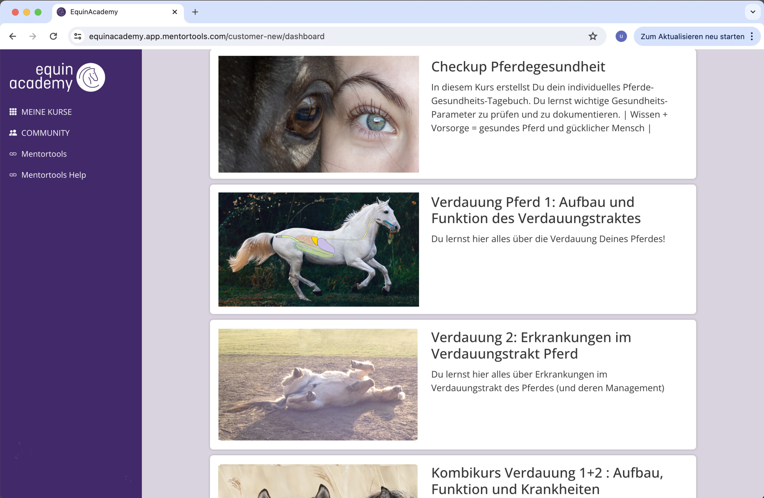 equin academy schulung